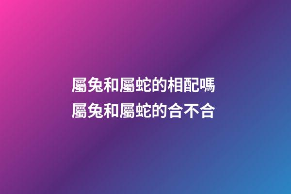 屬兔和屬蛇的相配嗎 屬兔和屬蛇的合不合-第1張-觀點-玄機派